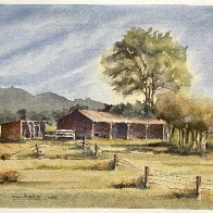 2026-0913 Abandoned Dairy Farm, Gippsland, Victoria, Australia.jpeg