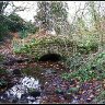 autumn bridge.