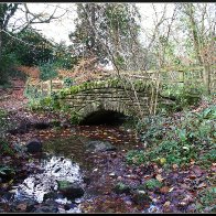 Autumn bridge 3 halved..jpg