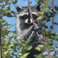 raccoon2026.jpg