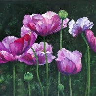Poppies.jpg