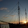 Starlings at sunrise 