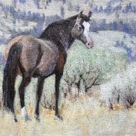 IMG_1783.jpeg