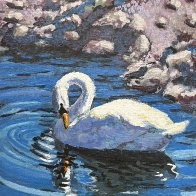 IMG_1054.jpeg
