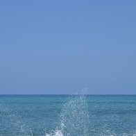 DSC_2076.JPG