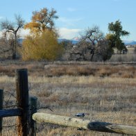 Goosehaven Pasture.JPG