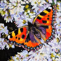 Butterfly#1.jpg