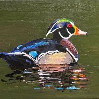 wood_duck_8_10.jpg