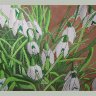 SNOWDROPS