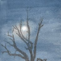 p-m-p moonlit dead tree.jpg
