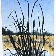 PMP_Cat Tail Marsh_2026.jpg