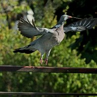 IMG_2753.JPG