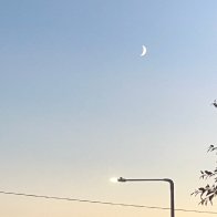 IMG_0148.jpeg