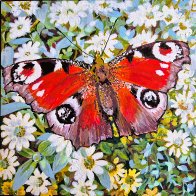 Butterfly#2.jpg
