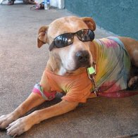 cOOLdUDE.JPG