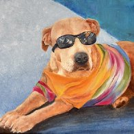 HippieDog.jpg