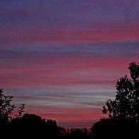 IMG_3590.JPG