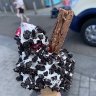 MR WHIPPY