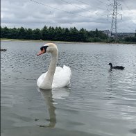 IMG_0823.jpeg