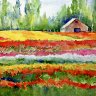 Color Ribbons-Gallery