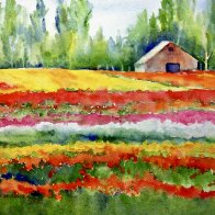 Color Ribbons-Gallery.JPG