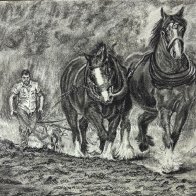 Shires Plowing SMALL.jpg