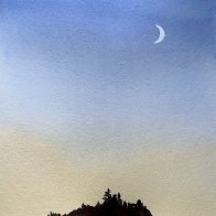 IMG_0231.jpeg