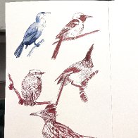 IMG_7245.jpeg