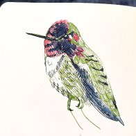 IMG_7266.jpeg