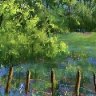 Wildflowers