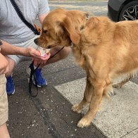 IMG_0996.jpeg