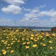 IMG_1003.jpeg