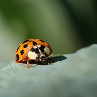 IMG_9569(1).jpg