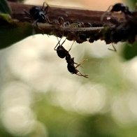 20260911_165013(1).jpg