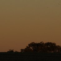 IMG_3678.JPG