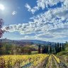 IMG_6705