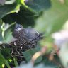 Awaiting new life