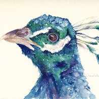 IMG_0001.jpg