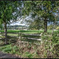 Fence scene 3 halved..jpg