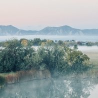 IMG_9731.jpeg