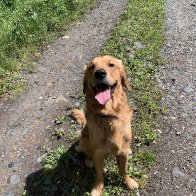 IMG_1025.jpeg