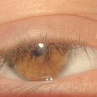 IMG_0994.jpeg