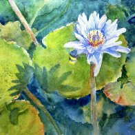 IMG_1937.JPG