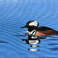 hooded merganser.jpg