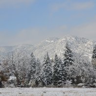 Winter in the FoothillsDSC_2353.JPG