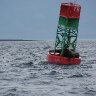 Seal Taxi