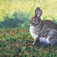 rabbit2.jpg