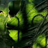 IMG_8105(1)(1)(1).jpg