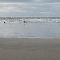 walking the dog.jpg