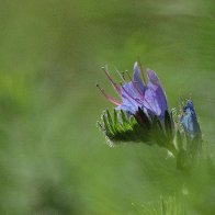 IMG_9900(4).jpg
